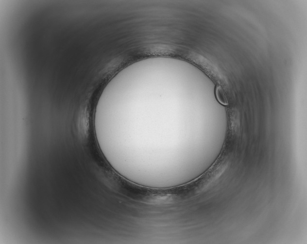 X0000101400206200807211041