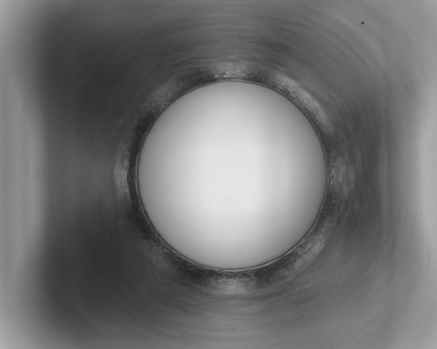 X0000101400209200807211041