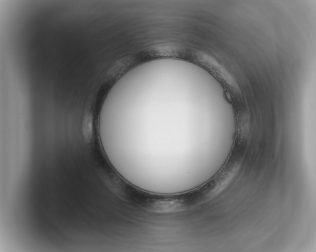 X0000101400213200807211041