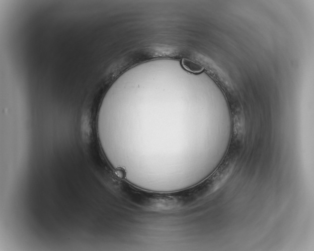 X0000101400215200807211041