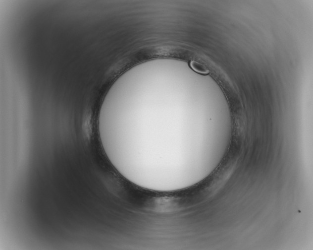 X0000101400216200807211041