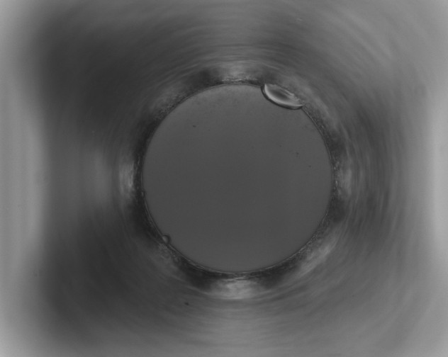 X0000101400219200807211041