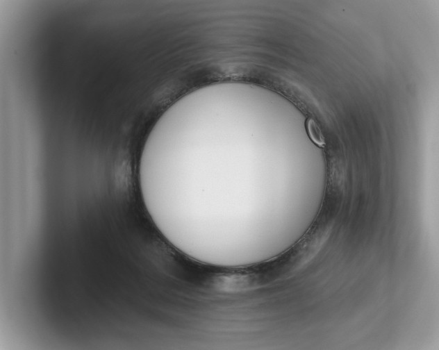 X0000101400220200807211041