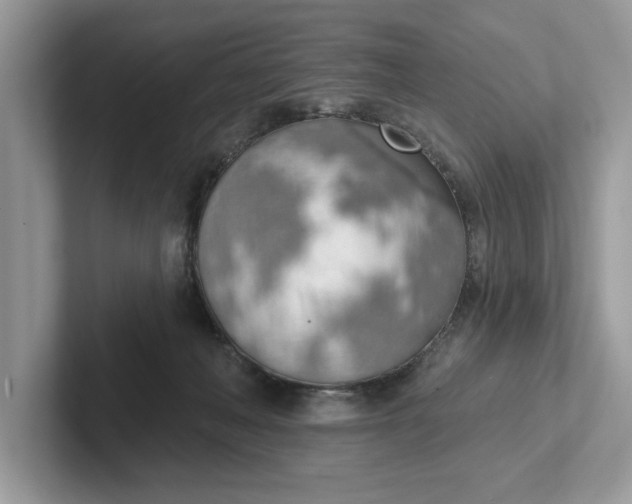 X0000101400222200807211041