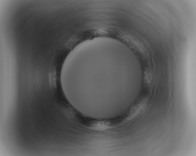 X0000101400223200807211041