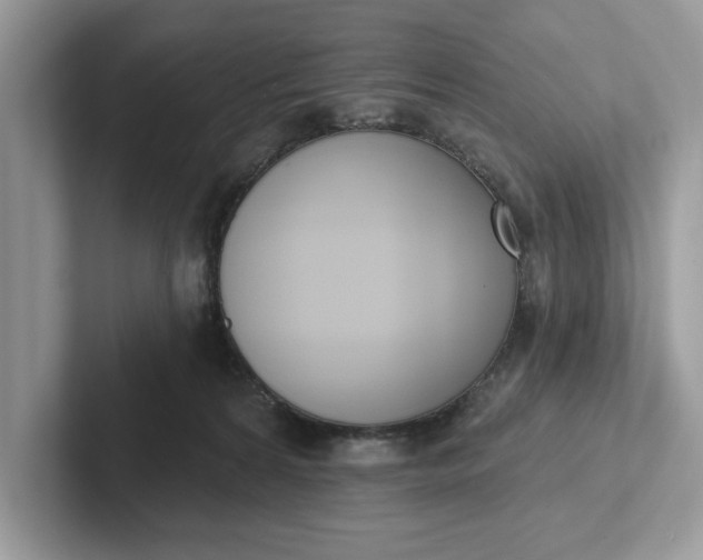 X0000101400224200807211041