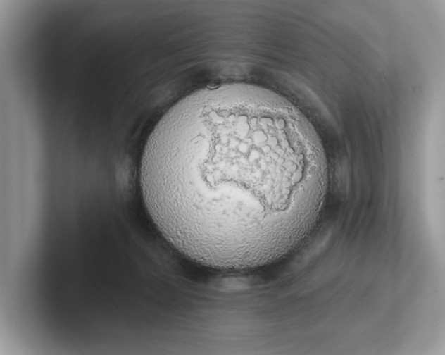 X0000101400228200807211041