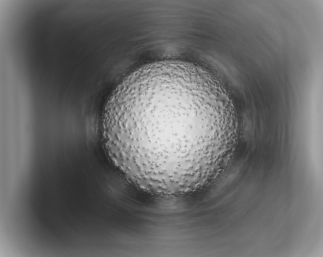 X0000101400230200807211041