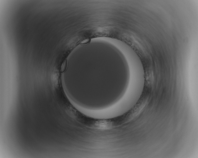 X0000101400231200807211041