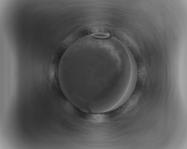 X0000101400233200807211041