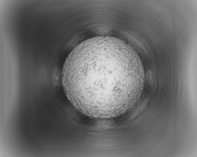 X0000101400234200807211041