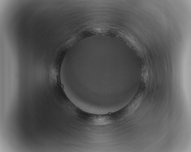 X0000101400235200807211041