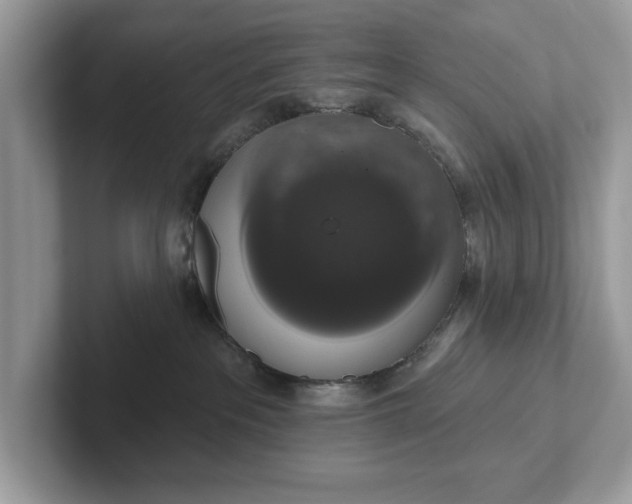 X0000101400237200807211041