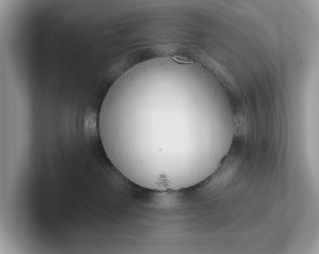 X0000101400238200807211040