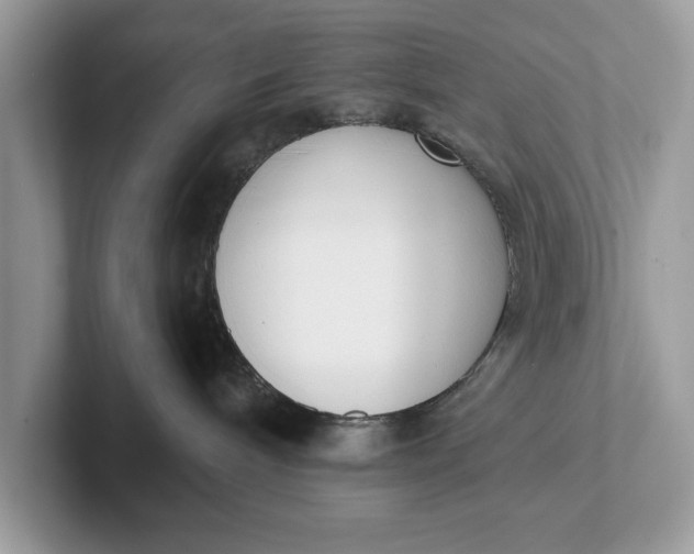 X0000101400240200807211040