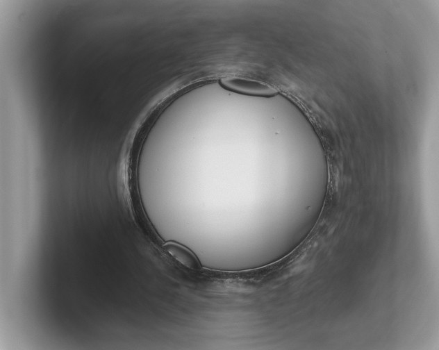 X0000101400244200807211040