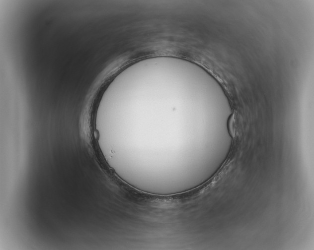 X0000101400245200807211040