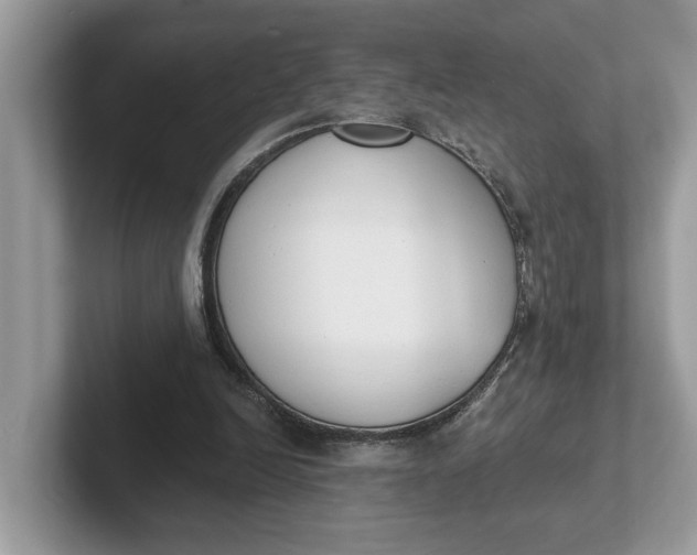 X0000101400246200807211040