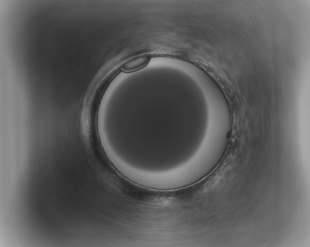 X0000101400247200807211040