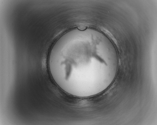 X0000101400249200807211040