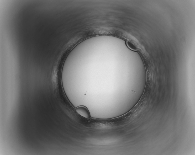 X0000101400250200807211040