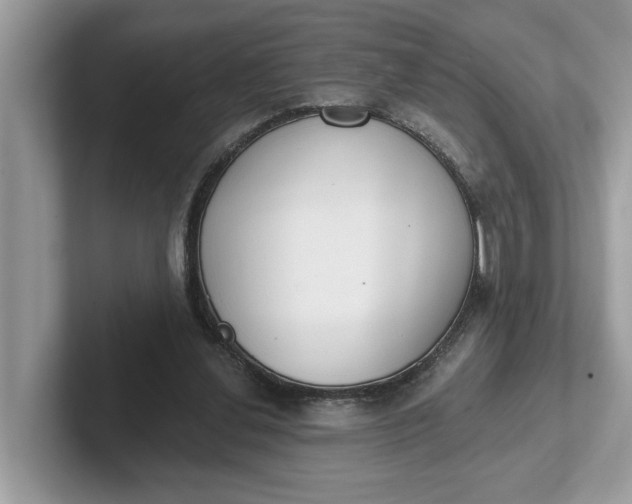 X0000101400252200807211040