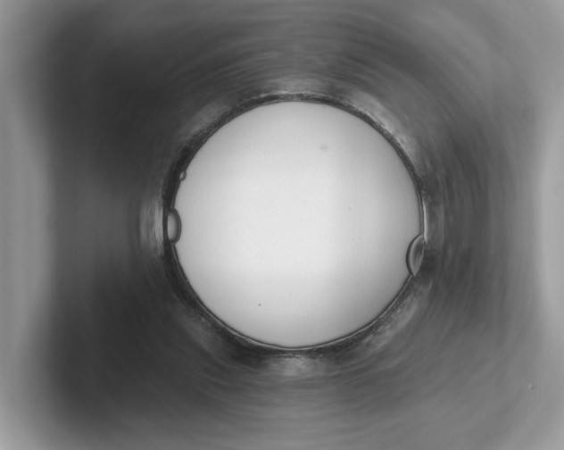 X0000101400253200807211040