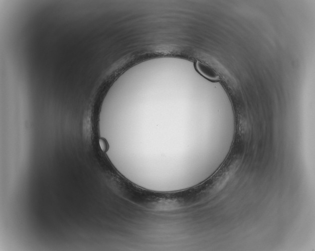 X0000101400256200807211040