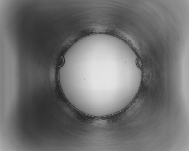 X0000101400257200807211040