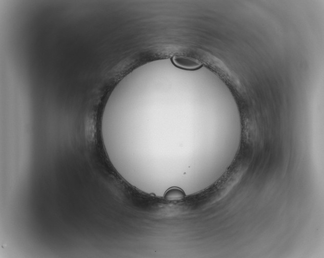 X0000101400259200807211040