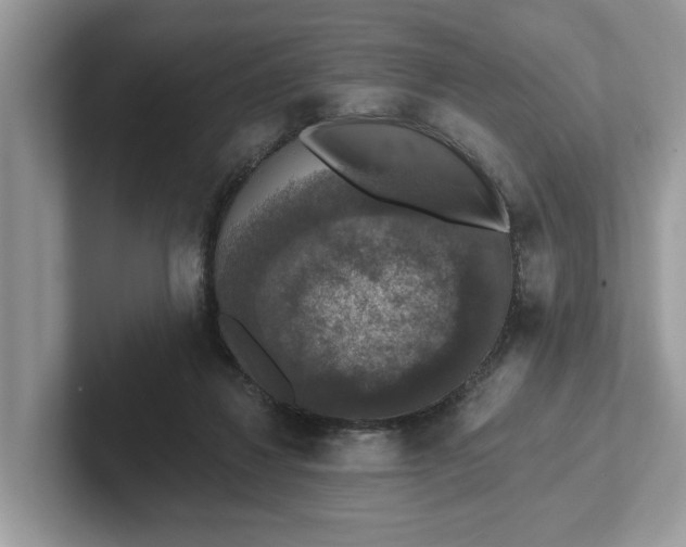 X0000101400260200807211040