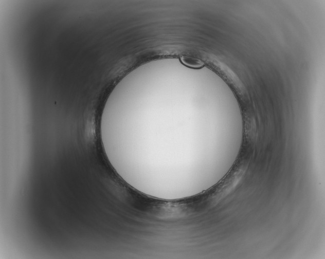 X0000101400261200807211040