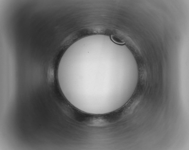 X0000101400262200807211040