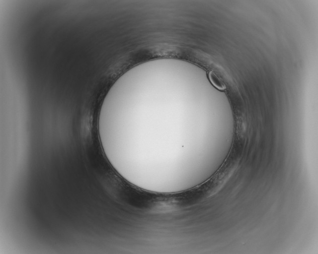 X0000101400263200807211040