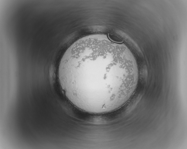 X0000101400264200807211040