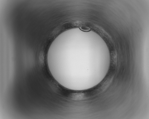 X0000101400266200807211040