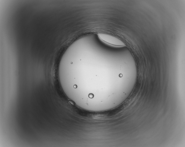 X0000101400268200807211040