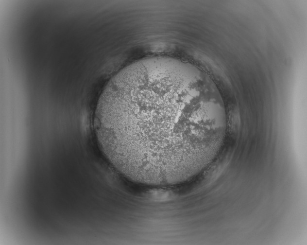 X0000101400272200807211040