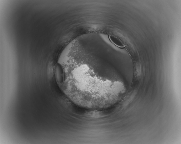 X0000101400276200807211040