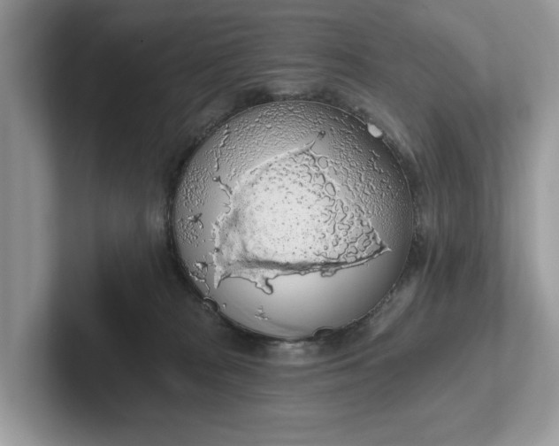 X0000101400277200807211040