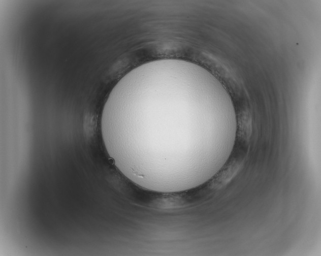 X0000101400278200807211040