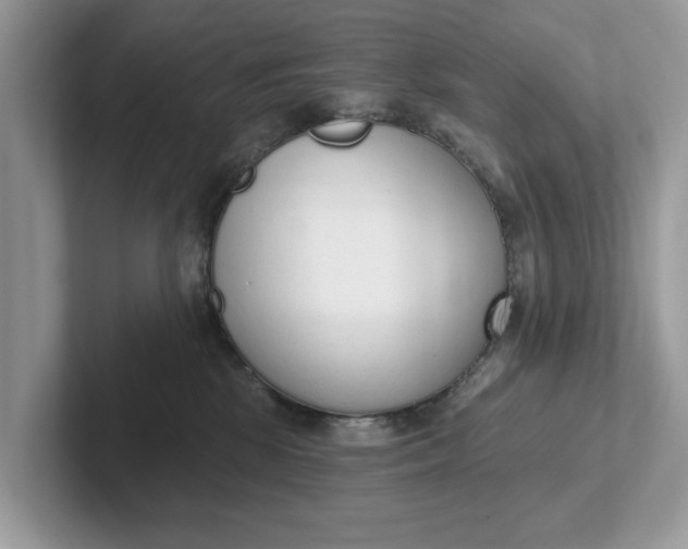 X0000101400281200807211040