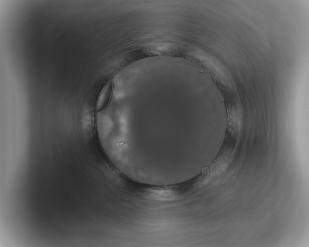 X0000101400284200807211040