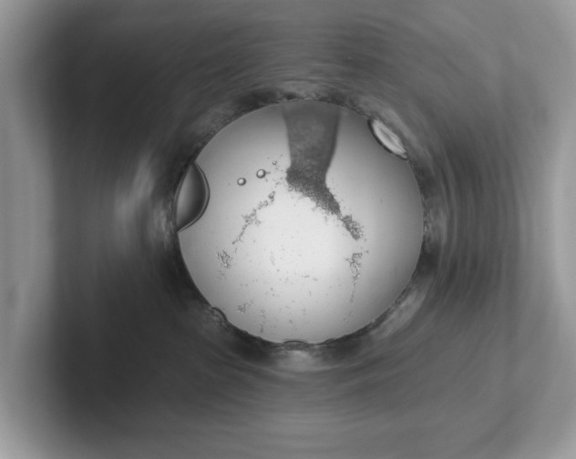 X0000101400285200807211040