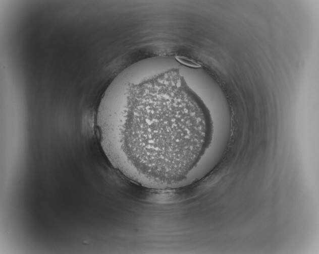 X0000101400288200807211040