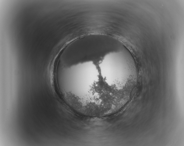 X0000101400290200807211040