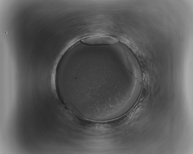 X0000101400292200807211040