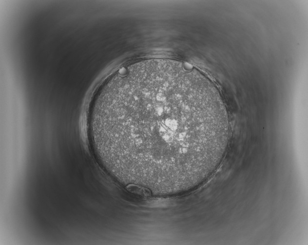 X0000101400293200807211040