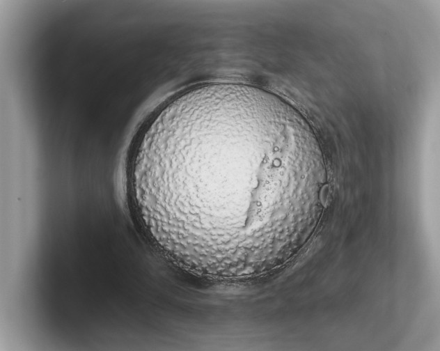 X0000101400294200807211040