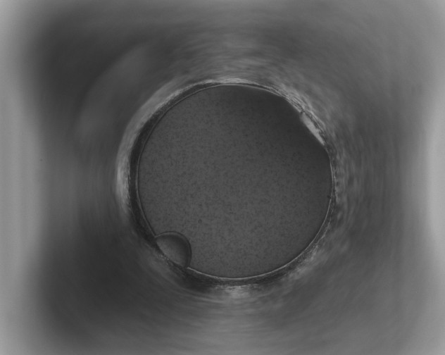 X0000101400295200807211040